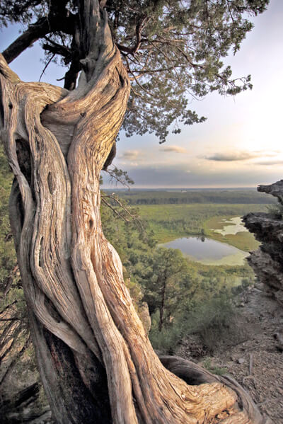 Great River Road Illinois Scenic Drives on 